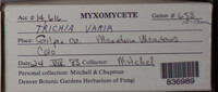 Image Associated With the Occurence